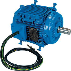 Moteurs industriels triphasés WEG W21 à faible vibration et robustes, châssis en fonte, série W21 à basse tension et puissance accrue - Product Image 2