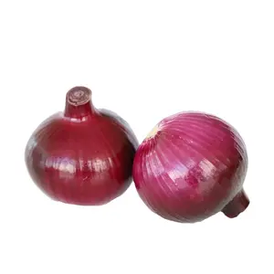 Natural fresh import export fresh onion Chinese factory supplying
