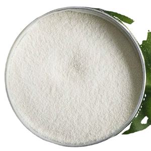 Polvo de peptona de colágeno de grado industrial al por mayor - Product Image 1