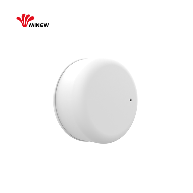 Minew MBM02 iot hardware cheap bluetooth ble 5.0 programmable nf52 ibeacon waterproof IP67 beacon advertising device