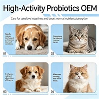 Friandise liquide probiotique pour animaux de compagnie pour soulager les ballonnements et favoriser la digestion des animaux difficiles à nourrir, purée de viande crémeuse pour chiens et chats OEM