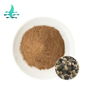 Pasokan Pabrik Vitex Trifolia Ekstrak Buah Harga Grosir