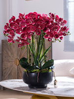 Grande Composition d'Orchidées Phalaenopsis Artificielles 3D Réalistes Rose et Violet à Tiges Multiples, Pot en Céramique Blanc, Idéal pour Remise de Diplôme et Pâques