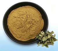 Extrait de marrue 70 % Silice, poudre d'Urtica Dioica testée HPLC, certifiée GMP, vente en gros, matière première nutraceutique en vrac, OEM ODM à base de plantes