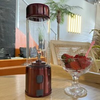 Mixeur Portable en Verre pour Fruits, Tasse à Jus Électrique Domestique, Mini-Mixeur de Voyage Rechargeable de Luxe 450ml