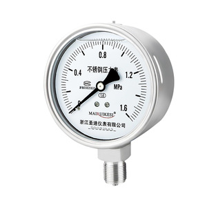 yn100bf oil-filled, shock-resistant, high-temperature resistant, and corrosion-resistant M20*1.5 WIKA stainless steel - Product Image 2