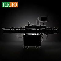Machine d'étiquetage automatique RICIO pour cartons, application d'étiquettes de sécurité autocollantes, OEM/ODM, étiquetage d'un seul côté à angle droit