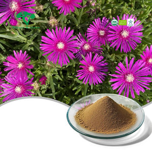 자연 공장 공급 Skeletium Tortuosum 추출물 칸나 추출물 분말 100:1 메소브린 - Product Image 1