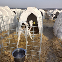 Système d'abris pour animaux de ferme en plastique antidérapant, enclos d'isolement pour veaux, niche pour veaux
