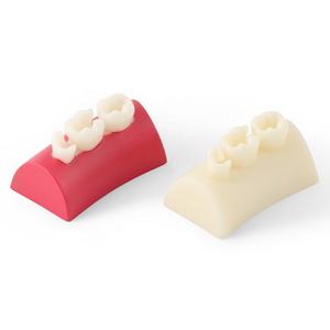 Resina composita che riempie i denti radica del canale di preparazione del simulatore di intarsio dentale blocco di esercizio - Product Image 1