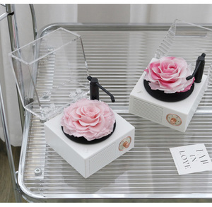 Lussuosa Scatola Musicale con Rosa Eterna Preservata, Copertura in Vetro, Altoparlante Bluetooth e Luce, per San Valentino, Festa della Mamma, Laurea - Product Image 6