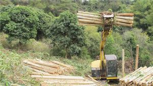 Pince hydraulique rotative pour excavatrice de 6 à 9 tonnes, pince lourde - Product Image 3