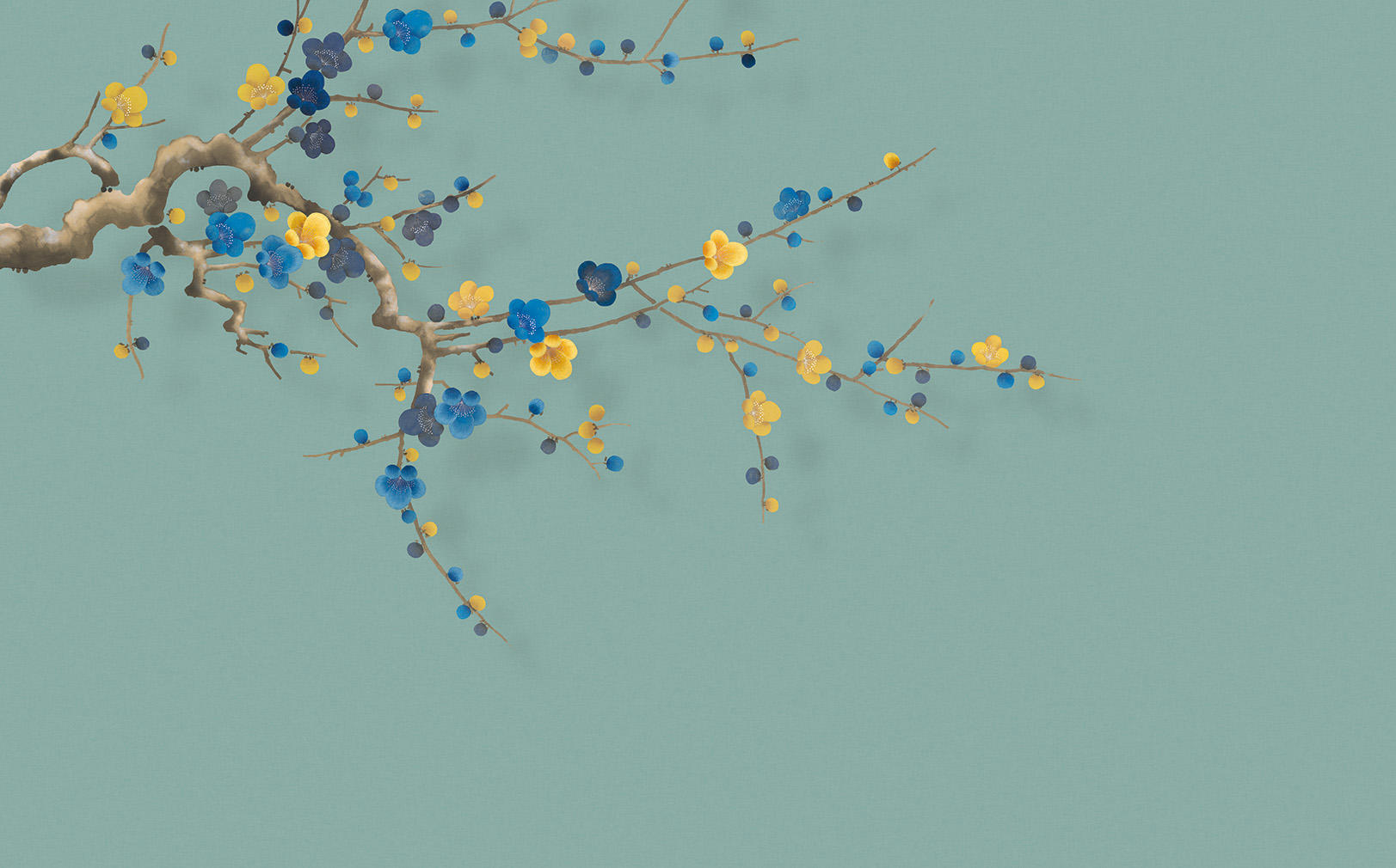 CX22021-C   CX22021-C :