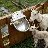 Abreuvoir automatique pour bétail, chevaux, animaux, en acier inoxydable, avec flotteur