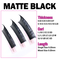 Ekstensi Bulu Mata Korea PBT Private Label, Bulu Mata Individual, Perlengkapan Bulu Mata, Tray Bulu Mata, Ekstensi Bulu Mata Volume Cashmere