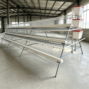 Jaula de gallinas ponedoras tipo A galvanizada para 160 aves, equipo para granjas avícolas comerciales africanas - Product Image 1
