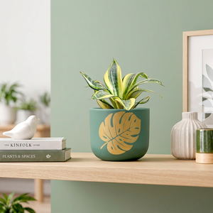 Maceta de Terracota Hecha a Mano con Forma de Hoja de Monstera, Maceta Decorativa Artística de Arcilla con Orificio de Drenaje para Plantas de Interior - Product Image 5