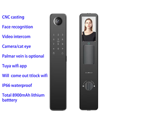 Kunci Pintu Otomatis Anti Air dengan Pengenal Wajah, Pembaca Vena Telapak Tangan, Sidik Jari, Kode, Kamera Mata Kucing, Interkom Video, Tuya Wifi, Zigbee - Product Image 2