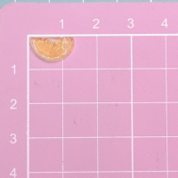 Realistiche limoen- en citroenschijfjes van hars voor DIY knutselwerk, nageldecoraties, mini fruitschijfjes, telefoonhoes accessoires