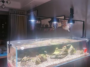 Ornement d'intérieur en forme de décor d'aquascaping Cabinet blanc Grand <span class=keywords><strong>aquarium</strong></span> de réservoir de poissons marins d'eau de mer - Product Image 2