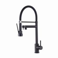 Robinet de cuisine multifonctionnel 3-en-1 en acier inoxydable avec douchette extractible et robinet d'eau filtrée intégré