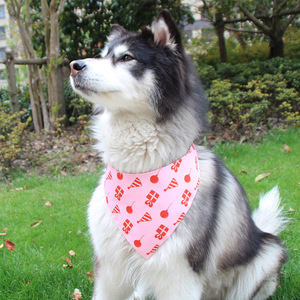 Pañuelo Triangular Ajustable para Mascotas, Color Rosa y Azul, Accesorio para Perros, Ideal para Fiestas de Cumpleaños - Product Image 4
