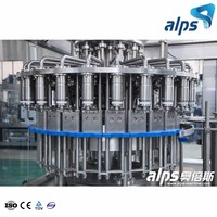 Projet clé en main d'usine de boissons automatique Ligne complète d'emballage de bouteilles en PET Machine de remplissage de filtres à jus de fruits à petite échelle