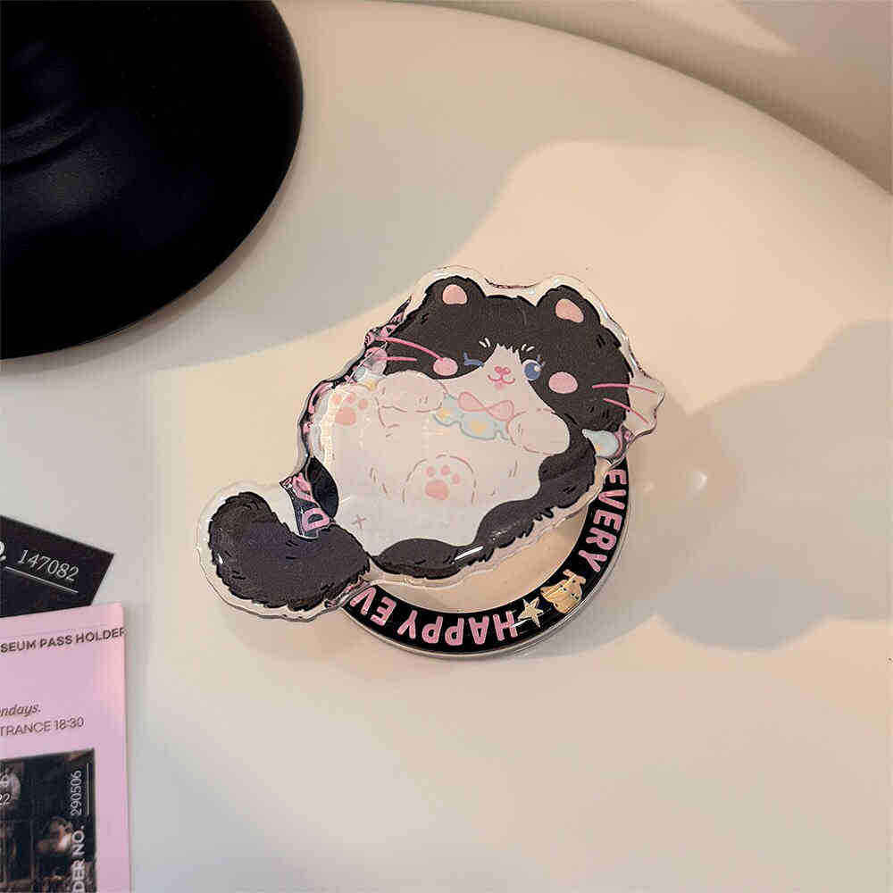 แมวดำขี้เล่น