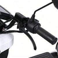 Moto électrique U2 1000W 60V la plus vendue, cadre robuste et poignée arrière pour passager