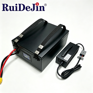 Batterie lithium-ion 48V 60Ah avec communication RS485, longue autonomie pour robot mobile autonome (AMR), entrepôt intelligent - Product Image 1