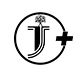 Shanghai Shengyunxiang International Trade Co., Ltd. logo