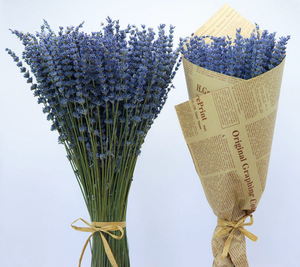 Ramo de Lavanda Seca Premium al por Mayor, Lavanda Aromática Seca al Aire Natural y Ecológica, 100g/Paquete, Aroma para el Hogar, Aromaterapia, Floristerías - Product Image 4