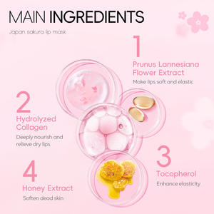2025 Offre Spéciale LAIKOU Sakura masque pour les lèvres 6g hydratant estompe les rides des lèvres couleur exfolie et hydrate masque pour les lèvres aux fruits - Product Image 4