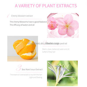 Shampooing Sakura Anti-Pelliculaire Hydratant et Purifiant Doux pour Cheveux, Contrôle du Sébum, Marque Blanche, Unisexe - Product Image 4