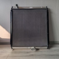 Pièces de machines de construction VOE14531222 14549879 Radiateurs de refroidissement à eau pour excavatrices EC210B/EC210D/EC240 Garantie 1 an CN;SHN