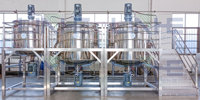 Cuve de mélange chauffante électrique avec agitateur, homogénéisateur à cisaillement élevé en acier inoxydable, équipement de mélange pour l'aloe vera