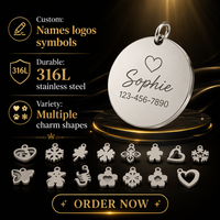 Pendentif Breloque Personnalisé en Acier Inoxydable Gravé au Laser, Plaqué Or 18K, Étanche, Plaque Nominative pour Chien, Bijoux en Gros