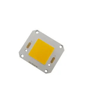 CRI Tersedia Dalam 70/80/90/95 + Chip Flip 4046 40W-60W 80W-120W 150W-200W 110-140LM/W untuk Lampu Sorot LED Lampu Jalan Chip COB LED