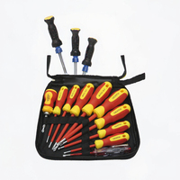 Jeu de 10 tournevis magnétiques isolés en acier au chrome-vanadium de qualité professionnelle, embouts Phillips et Torx, personnalisable en plastique, OEM