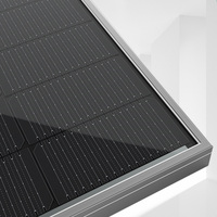 Panneau solaire bifacial 600W 650W 700W type N double vitrage tout noir 21,46% haute efficacité pour projet solaire commercial
