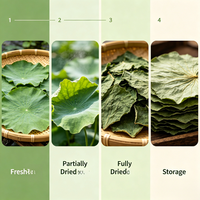 Feuille de lotus : Matière première pour tisanes, boissons aux fruits, pâtisseries, arômes naturels, encens, savons et extraits.