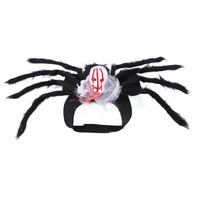 Vêtements et accessoires pour animaux de compagnie en gros : Costume d'Halloween pour chat style crânes et araignées