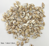 Vente en gros de mini coquillage naturel conque avec trou coquillage cauri pour le bricolage décoration de la maison coquillages artisanaux naturels