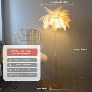 <span class=keywords><strong>Lampada</strong></span> da terra nordica <span class=keywords><strong>con</strong></span> Design creativo piuma <span class=keywords><strong>lampada</strong></span> da terra <span class=keywords><strong>con</strong></span> vassoio per camera da letto - Product Image 2