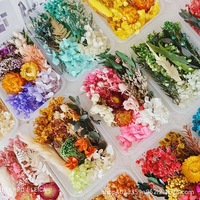 Boîte de fleurs séchées stabilisées pour l'art de la résine DIY, fleurs séchées mélangées multicolores, en vrac, naturelles, kits de matériaux
