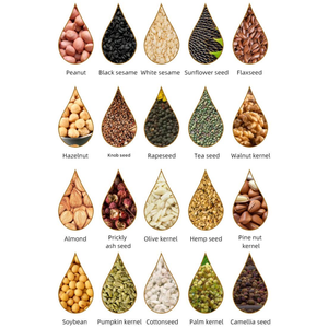 प्रमाणित कोल्ड प्रेस तेल मशीन-प्राकृतिक पोषक तत्वों 100% बनाए रखें, कोई रासायनिक योजक नहीं - Product Image 2