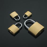 Cadenas miniature à clé de sécurité haut de gamme, bon marché, étanche, en acier inoxydable plaqué laiton