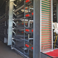 Nouveau système de cages pour poulets de chair en type H, automatique et manuel, en acier galvanisé à chaud, 3/4/5 niveaux, avec équipement d'alimentation et d'abreuvement