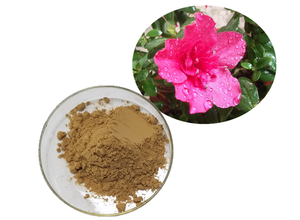 Extracto de <span class=keywords><strong>Rododendro</strong></span> 100% Herbal, Extracto de <span class=keywords><strong>Rododendro</strong></span>, Potencia del <span class=keywords><strong>Rododendro</strong></span> - Product Image 2