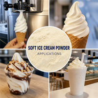 Poudre de crème glacée molle en vrac de 25 kg pour la restauration, les pâtisseries, les cafés et les machines à crème glacée – Approvisionnement direct usine